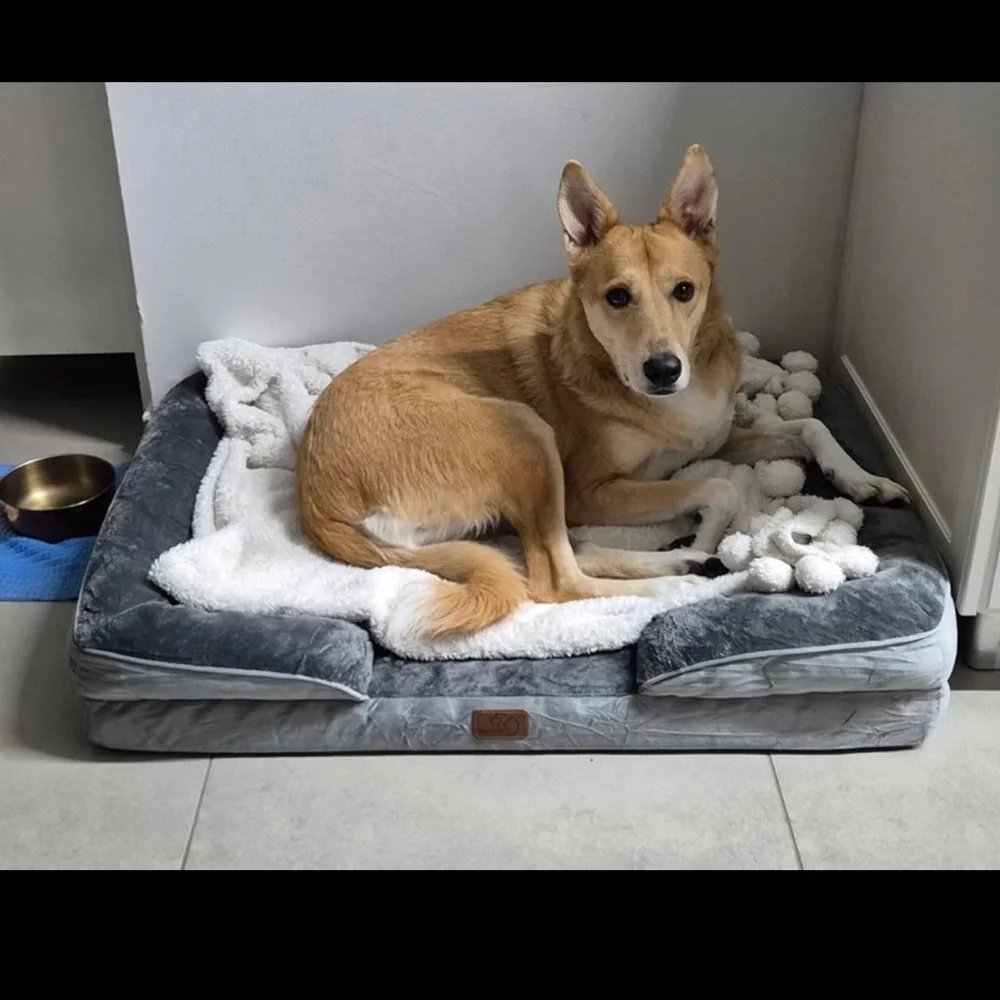 Gray Plush Pet Bed (large)